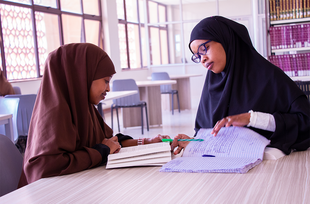 Bachelor of Business Management